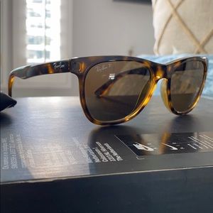 RayBan polarized sunglasses